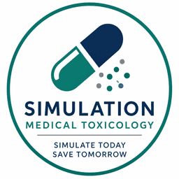 Simulation