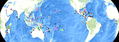 A global map displaying the distribution of chelonitoxism outbreaks and related sea turtle conservation efforts. The map is overlaid with multicolored squares representing various data points, including outbreak occurrences and conservation statuses across oceanic and coastal regions. Black dots indicate key migration routes and critical habitats for sea turtles. The map highlights areas across the Pacific, Indian, and Atlantic Oceans, with a concentration of activity near Southeast Asia, Oceania, the Caribbean, and East Africa. It emphasizes the intersection of public health and marine ecosystem preservation.