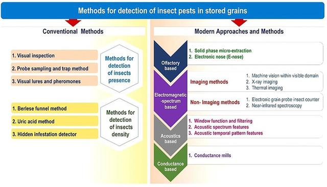 Comparison chart of conventional and modern methods for detecting insect pests in stored grains, highlighting technologies like electronic noses, X-ray imaging, and acoustic analysis that help prevent mycotoxin contamination in food.