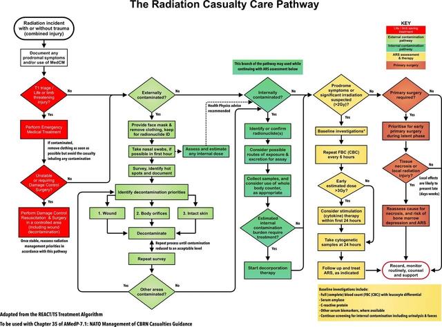 Radiation casualty care pathway flowchart showing emergency triage, external and internal contamination management, decontamination steps, medical treatment, surgery decisions, and acute radiation syndrome (ARS) assessment for clinicians