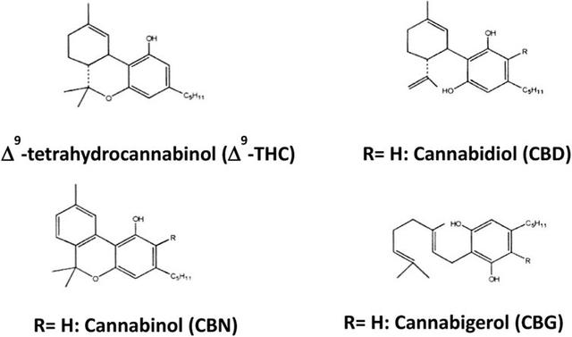 Structural formulas of major cannabinoids—Δ9-tetrahydrocannabinol (Δ9-THC), cannabidiol (CBD), cannabinol (CBN), and cannabigerol (CBG)—showing ring systems, hydroxyl groups, side chains, and R-group positions; comparison chart for cannabis chemistry, pharmacology, and cannabinoid biosynthesis education