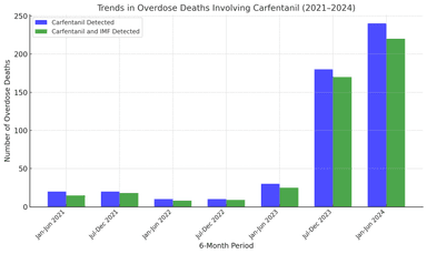 Bar chart showing the trends in overdose deaths involving carfentanil and carfentanil with illegally manufactured fentanyls (IMFs) from January 2021 to June 2024. The data illustrates a sharp increase in deaths, peaking in January–June 2024, highlighting the growing impact of carfentanil in the opioid crisis.