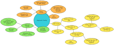 Mindmap of Aripiprazole Toxicity Treatments by Severity, including mild, moderate, and severe toxicity stages with treatments such as hydration, activated charcoal, sodium bicarbonate, and ICU admission