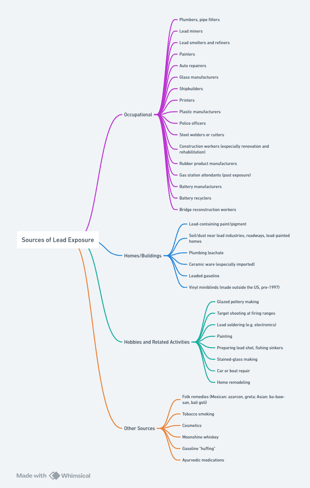 Mind map diagram titled "Sources of Lead Exposure" visually categorizing lead exposure risks into four groups: Occupational (e.g., painters, lead miners, battery recyclers), Homes/Buildings (e.g., lead-based paint, plumbing leachate), Hobbies and Related Activities (e.g., pottery making, firing ranges), and Other Sources (e.g., folk remedies, cosmetics, Ayurvedic medications). 