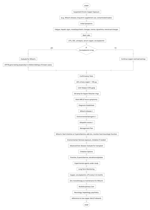Chronic copper poisoning clinical flowchart detailing diagnosis and management of Wilson's disease and environmental copper exposure; includes diagnostic steps like ceruloplasmin testing, 24-hour urinary copper, liver biopsy, and Kayser-Fleischer rings, with treatment options including chelation therapy, zinc maintenance, and multidisciplinary care
