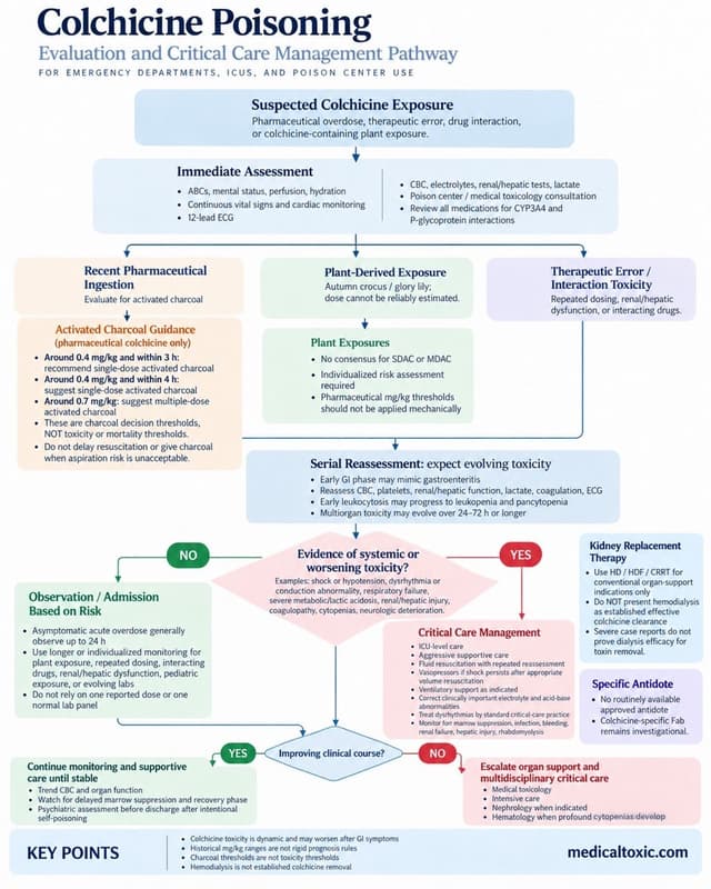 Colchicine poisoning evaluation and critical care pathway