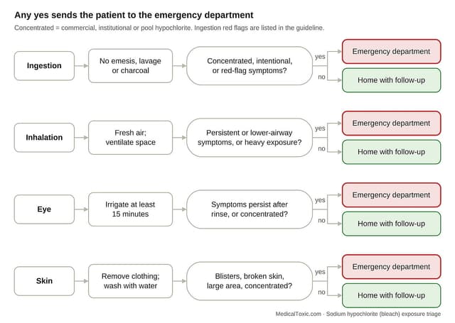 Sodium hypochlorite bleach exposure triage algorithm for ingestion, inhalation, eye, and skin exposures with emergency referral criteria