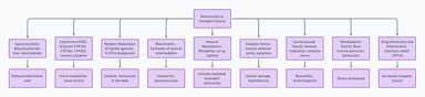 Flowchart depicting mechanisms of clozapine toxicity, including agranulocytosis, cytochrome P450 enzyme activity, receptor modulation, bioactivation, immune mechanisms, oxidative stress, cardiovascular toxicity, hematopoietic toxicity, and drug interactions leading to various toxic effects