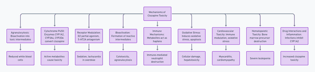 Flowchart depicting mechanisms of clozapine toxicity, including agranulocytosis, cytochrome P450 enzyme activity, receptor modulation, bioactivation, immune mechanisms, oxidative stress, cardiovascular toxicity, hematopoietic toxicity, and drug interactions leading to various toxic effects