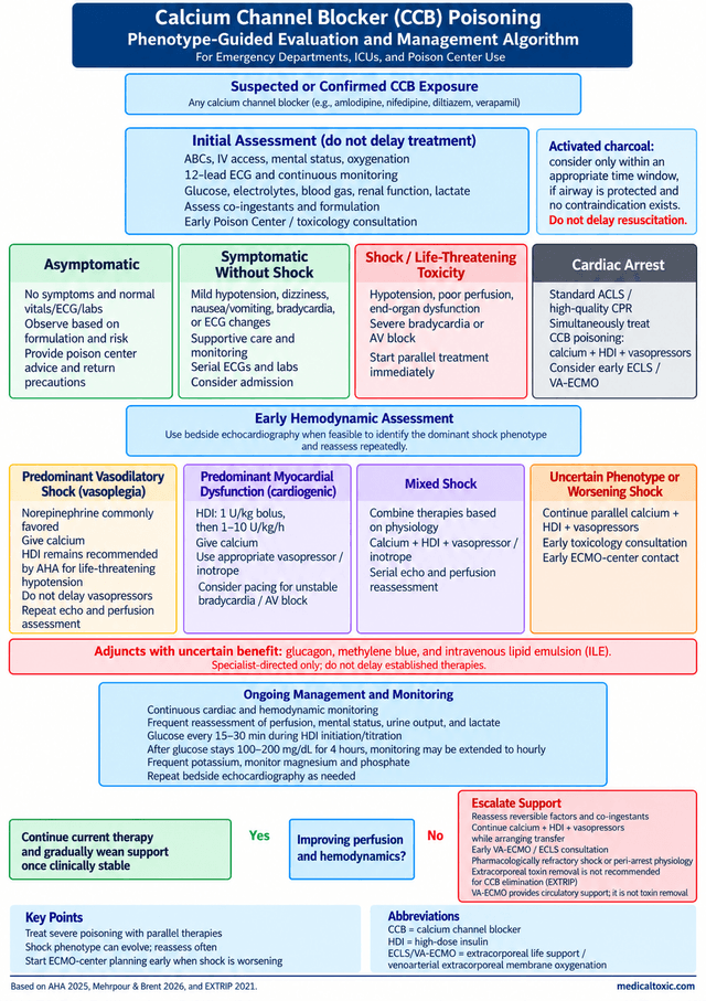 Calcium channel blocker poisoning management algorithm showing assessment, shock phenotypes, high-dose insulin, calcium, vasopressors, and VA-ECMO