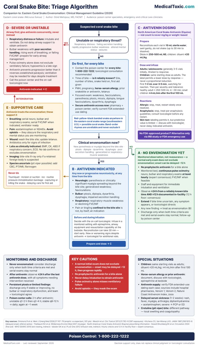 Eastern coral snake bite triage algorithm for monitored observation, neurotoxicity, antivenin treatment, airway management, and critical care escalation
